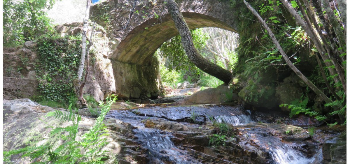 Casas Rurales Arroal