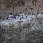 Hotel Vado del Duratón