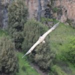 Hotel Vado del Duratón