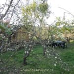 Casa Rural La Osa Mayor