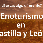 Enoturismo Castilla y León