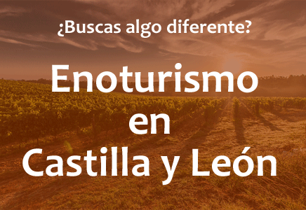 Enoturismo Castilla y León