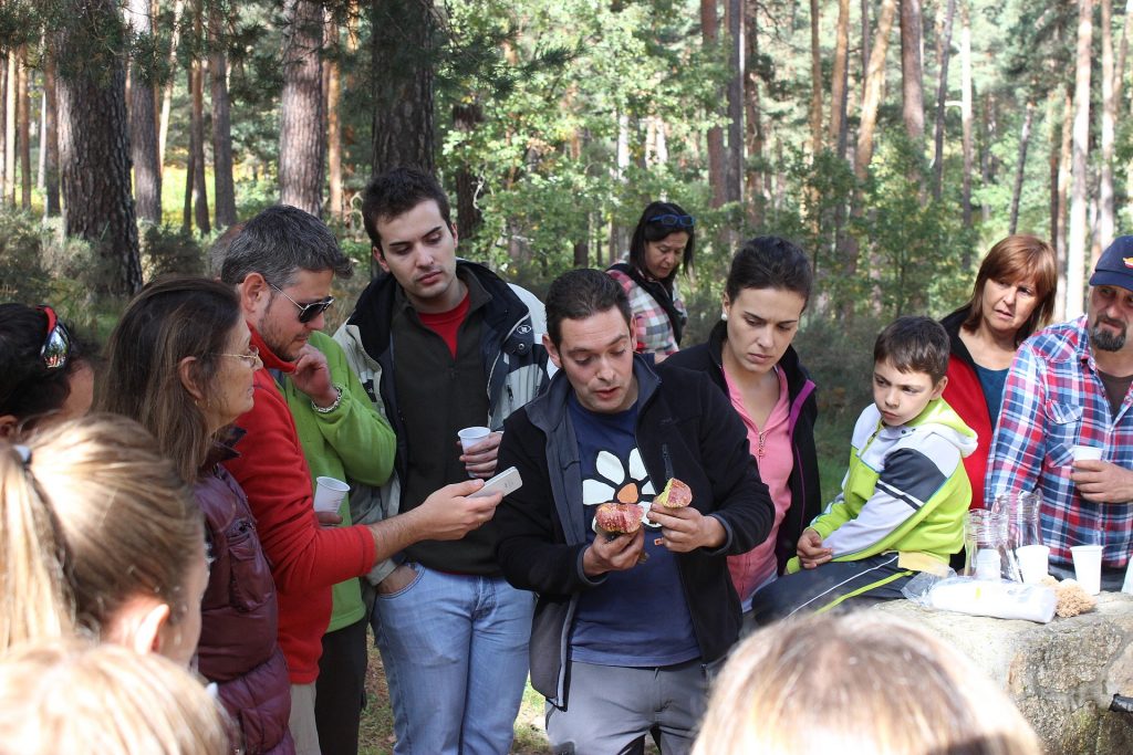 Foto: www.tuitquedadamicologica.es