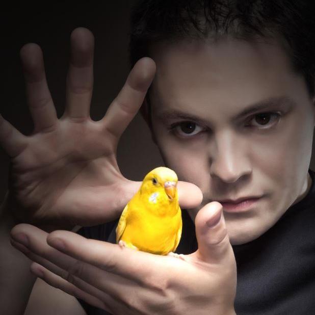 10 planes para hacer con niños esta Navidad en Castilla y León