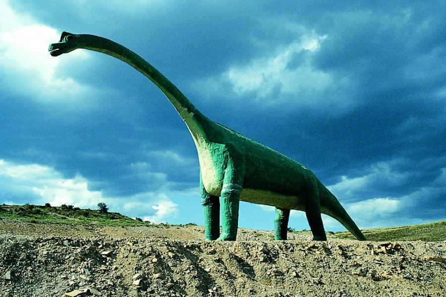 planes en castilla y león enero