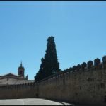 Visita Santo Domingo de Silos