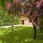 turismo por la campiña segoviana