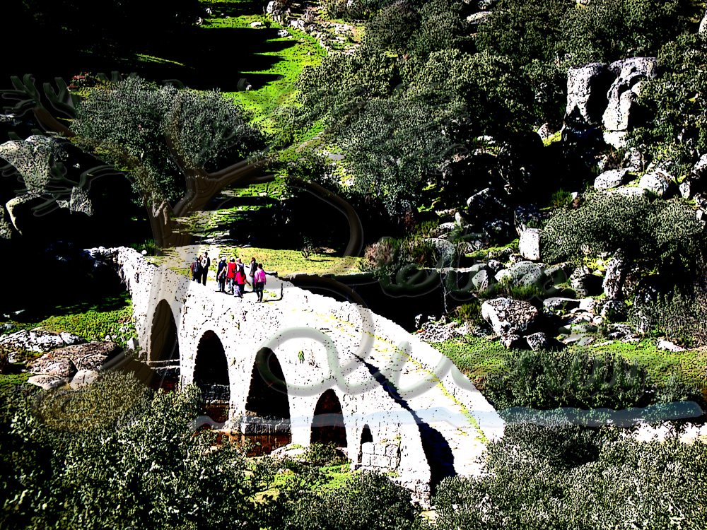 Bletisaventura TURISMO ACTIVO