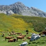 turismo en castilla y león