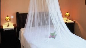 escapadas ideales para descubrir las Merindades