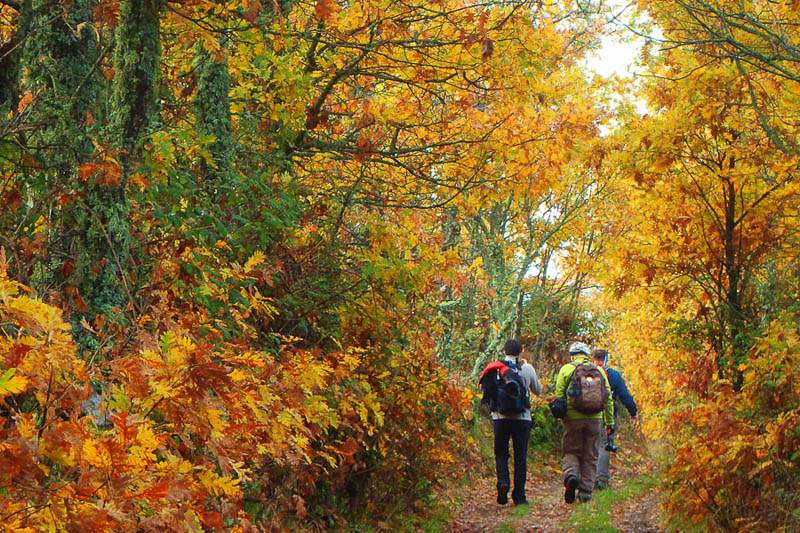 noviembre en castilla y león