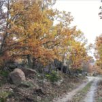 alojamientos rurales recomendados para grupos en salamanca