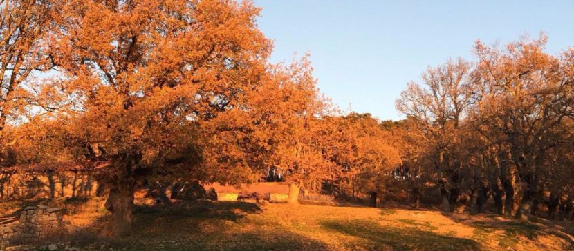 entorno de Posada Las Mayas