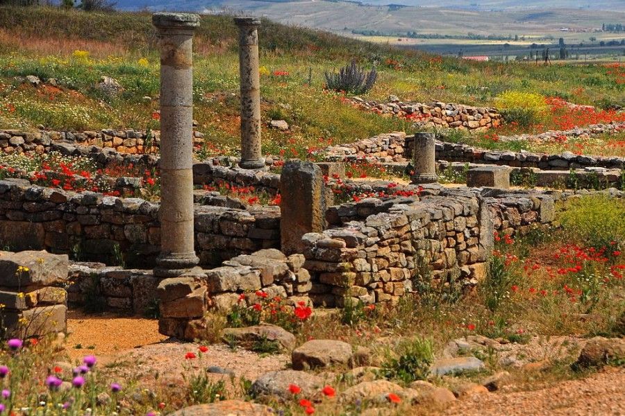 Numancia, turismo en Castilla y León