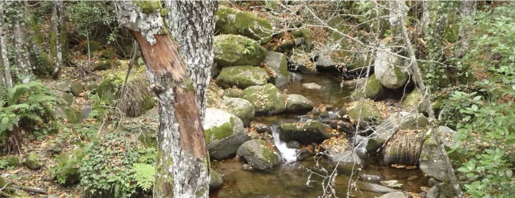 Casas rurales Arroal