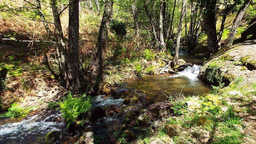 Hotel Rural El Camino entorno