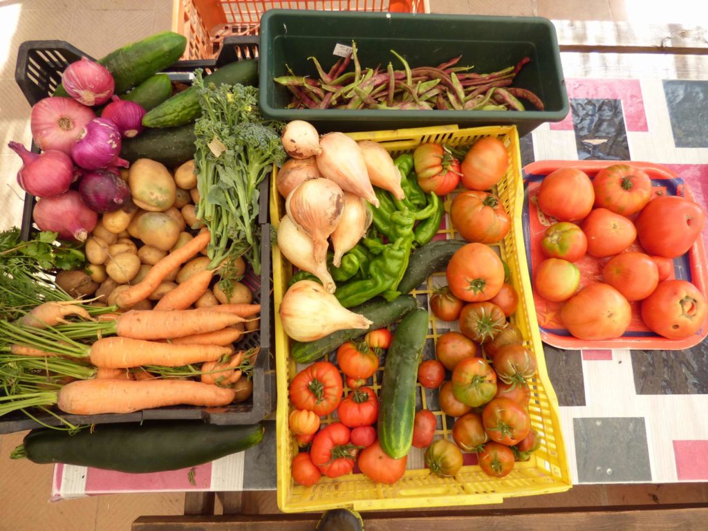 Hotel Sabinares del Arlanza huerto