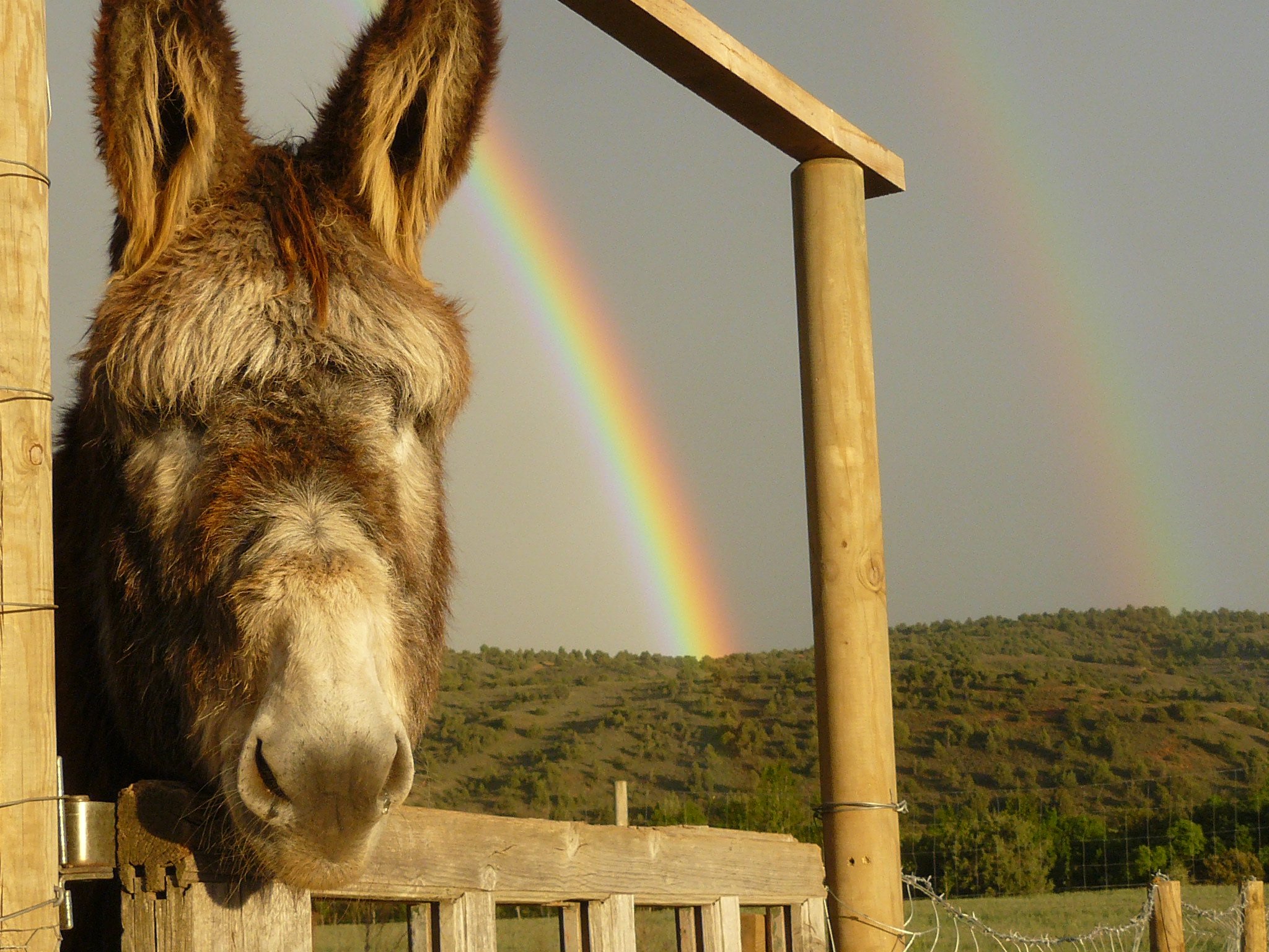 Hotel Sabinares del Arlanza