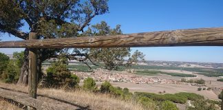 Ruta con niños en la provincia de Valladolid: Sendero de la Atalaya (Traspinedo)