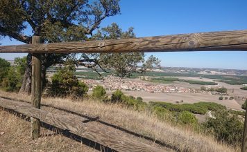 Ruta con niños en la provincia de Valladolid: Sendero de la Atalaya (Traspinedo)